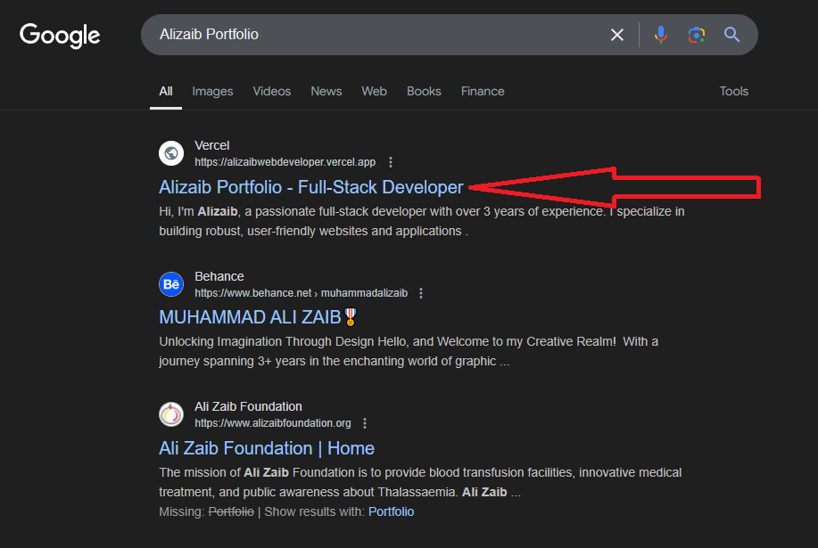 SEO Results for 'Hire Web Developer Pakistan'
